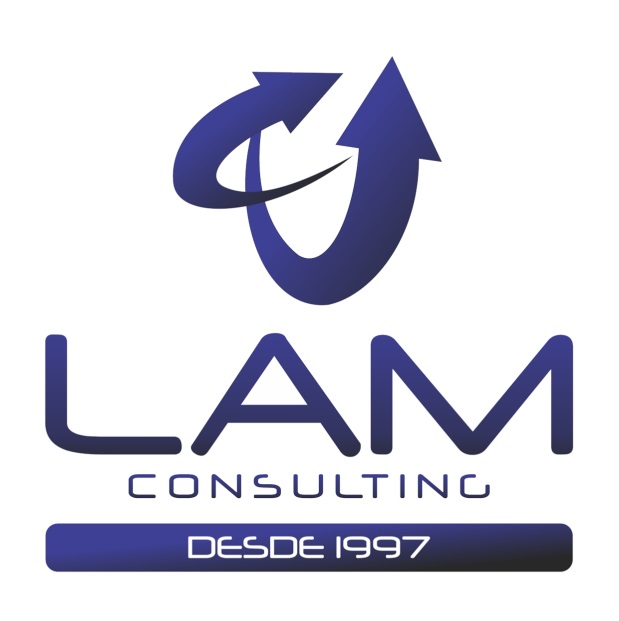LAM Consulting